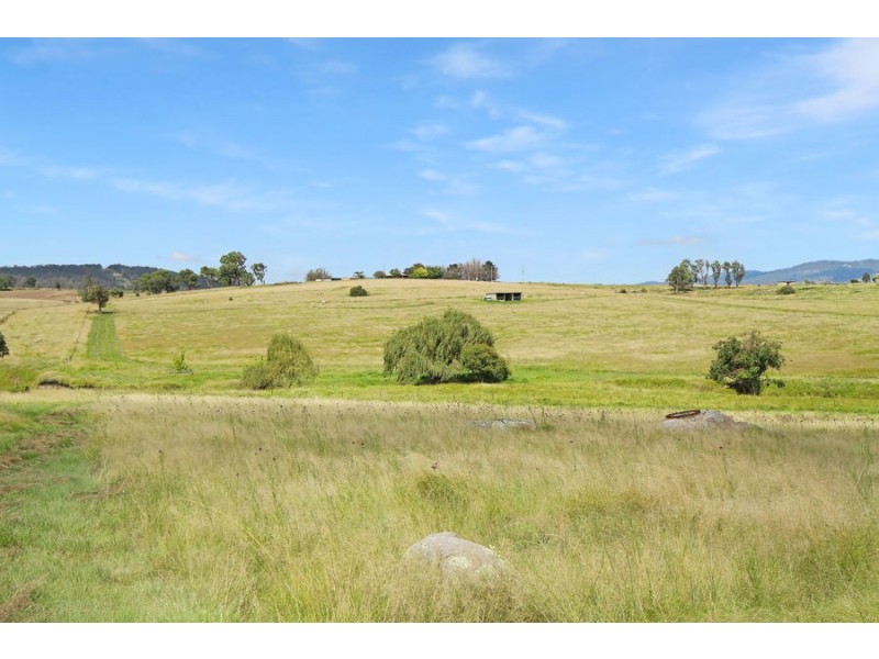 79 Bellevue Road, Tenterfield NSW 2372