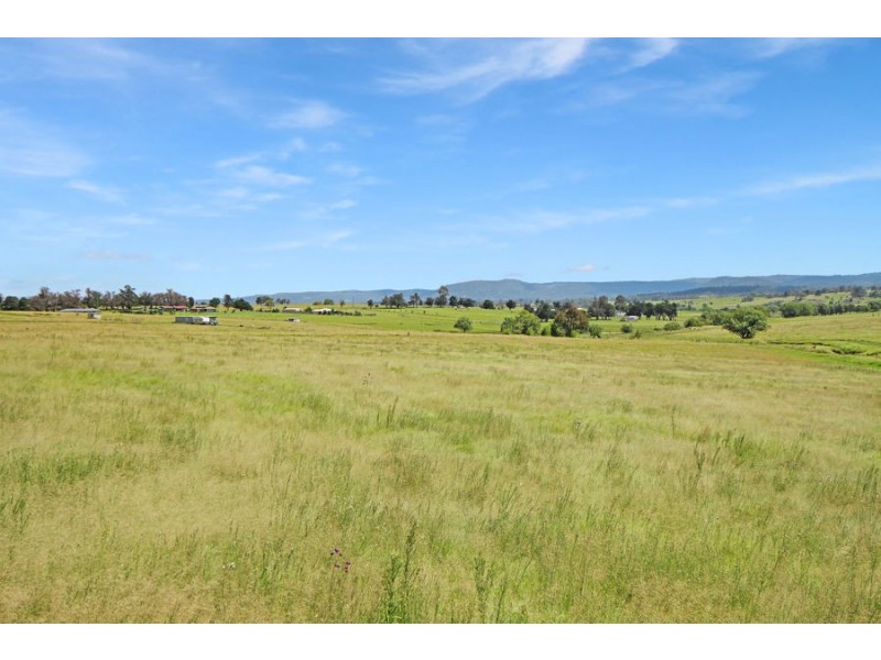 79 Bellevue Road, Tenterfield NSW 2372
