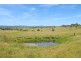 79 Bellevue Road, Tenterfield NSW 2372