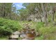 1214 Mt McKenzie Road, Tenterfield NSW 2372