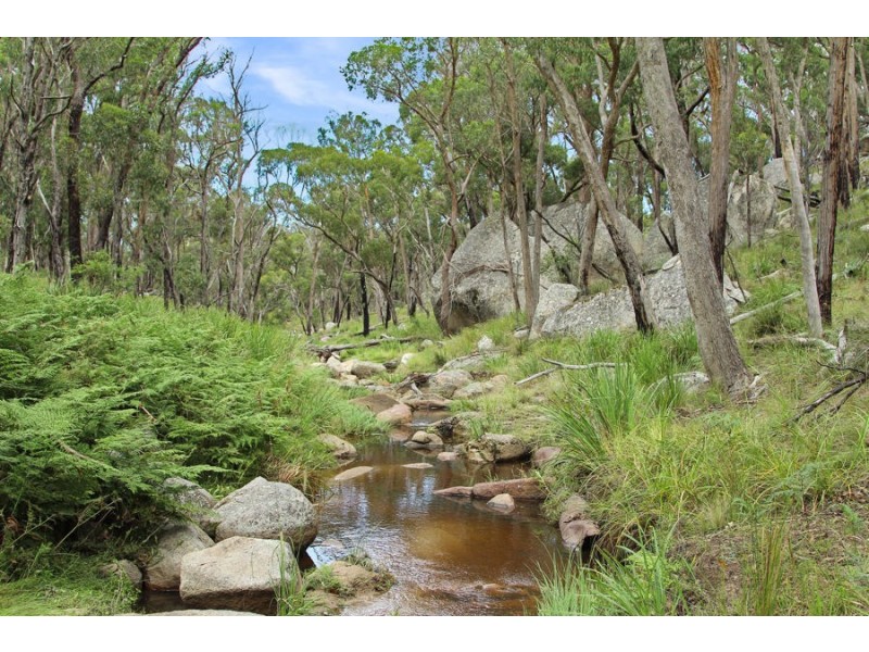 1214 Mt McKenzie Road, Tenterfield NSW 2372