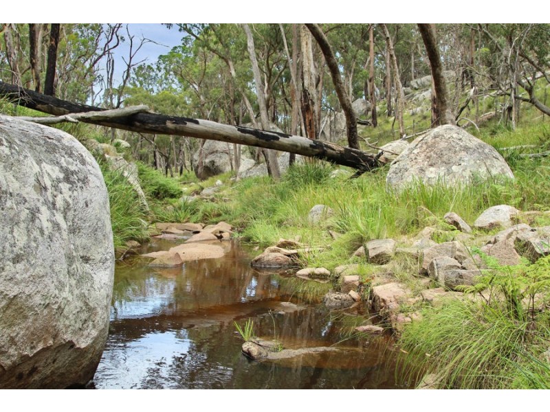 1214 Mt McKenzie Road, Tenterfield NSW 2372