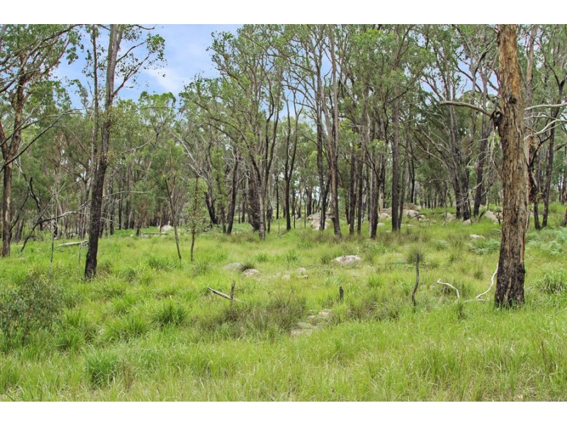 1214 Mt McKenzie Road, Tenterfield NSW 2372