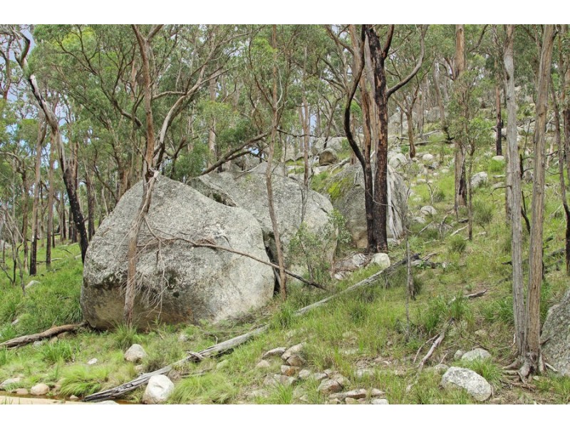 1214 Mt McKenzie Road, Tenterfield NSW 2372