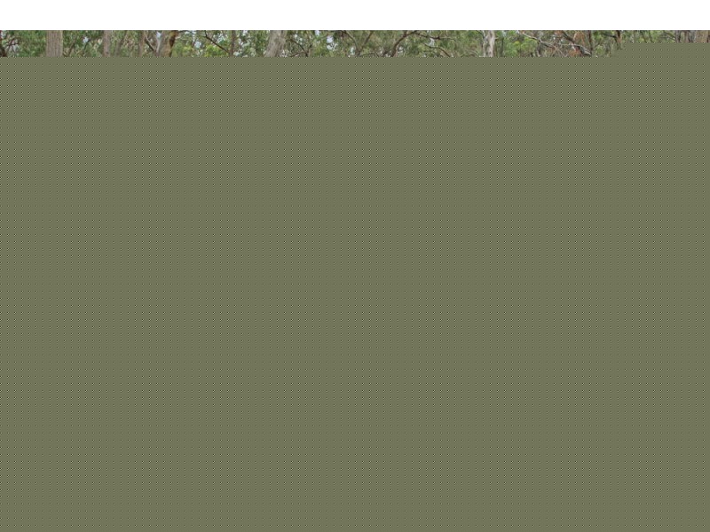 1214 Mt McKenzie Road, Tenterfield NSW 2372