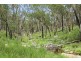 1214 Mt McKenzie Road, Tenterfield NSW 2372