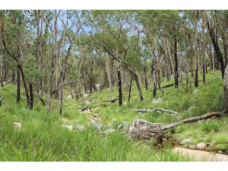 1214 Mt McKenzie Road, Tenterfield NSW 2372