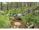 1214 Mt McKenzie Road, Tenterfield NSW 2372
