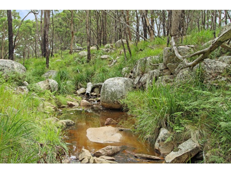 1214 Mt McKenzie Road, Tenterfield NSW 2372