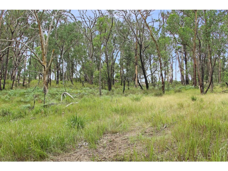 1214 Mt McKenzie Road, Tenterfield NSW 2372