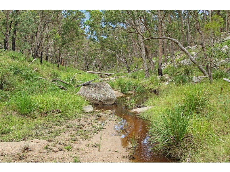 1214 Mt McKenzie Road, Tenterfield NSW 2372