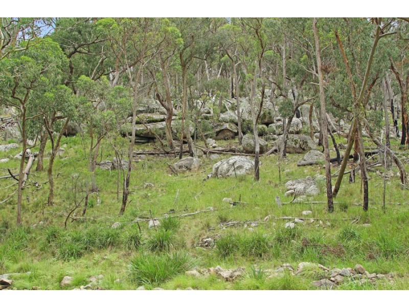 1214 Mt McKenzie Road, Tenterfield NSW 2372