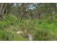 1214 Mt McKenzie Road, Tenterfield NSW 2372