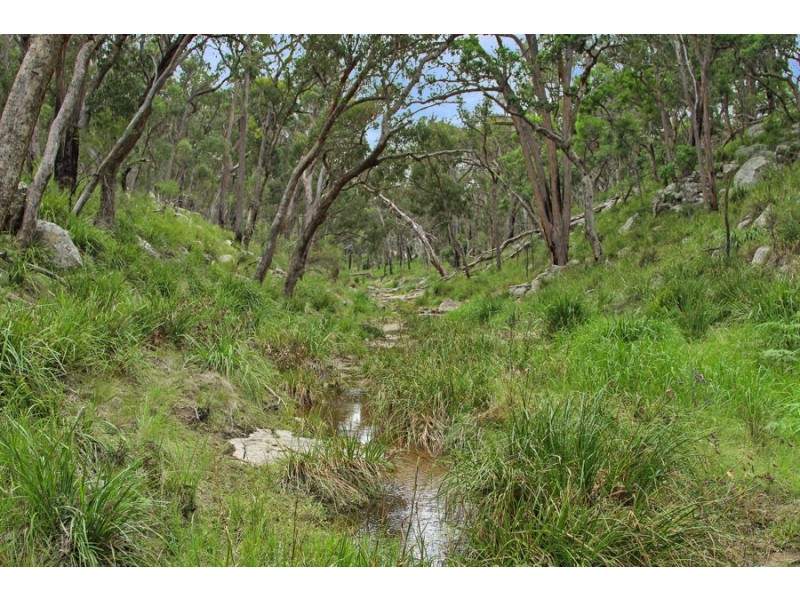 1214 Mt McKenzie Road, Tenterfield NSW 2372