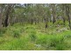 1214 Mt McKenzie Road, Tenterfield NSW 2372