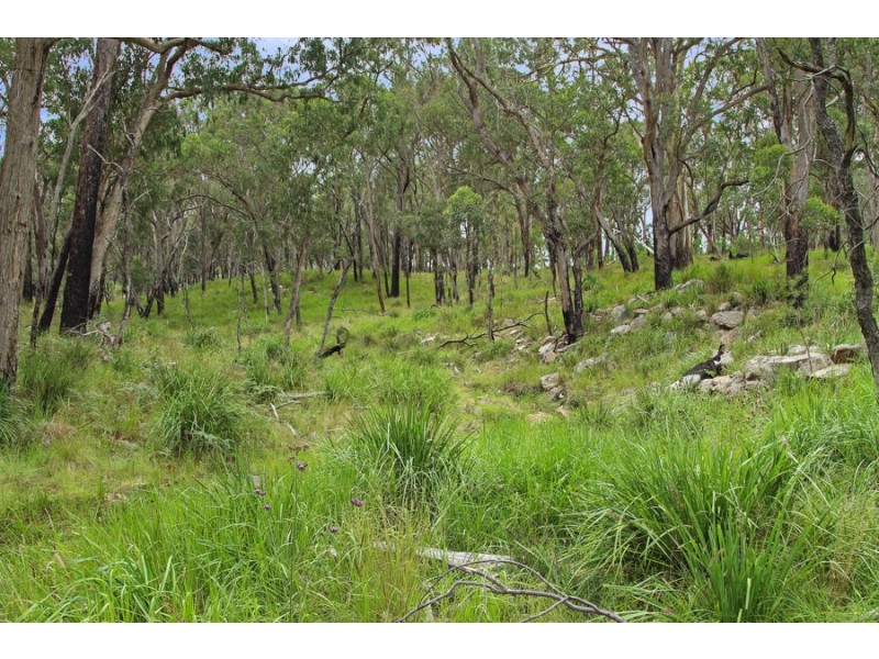 1214 Mt McKenzie Road, Tenterfield NSW 2372
