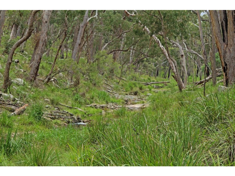 1214 Mt McKenzie Road, Tenterfield NSW 2372