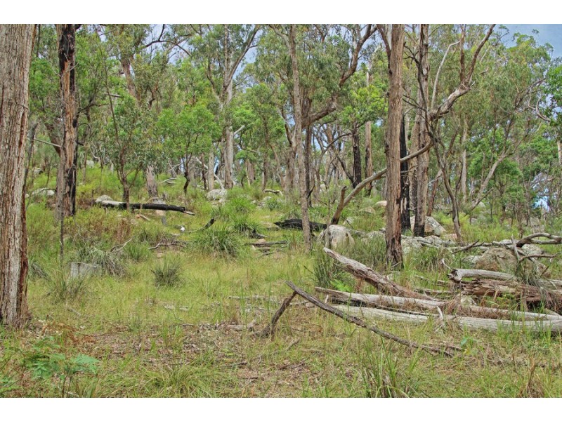 1214 Mt McKenzie Road, Tenterfield NSW 2372