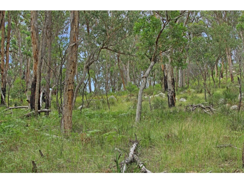 1214 Mt McKenzie Road, Tenterfield NSW 2372