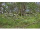 1214 Mt McKenzie Road, Tenterfield NSW 2372