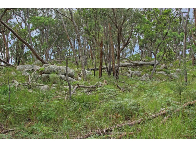 1214 Mt McKenzie Road, Tenterfield NSW 2372