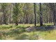 1214 Mt McKenzie Road, Tenterfield NSW 2372