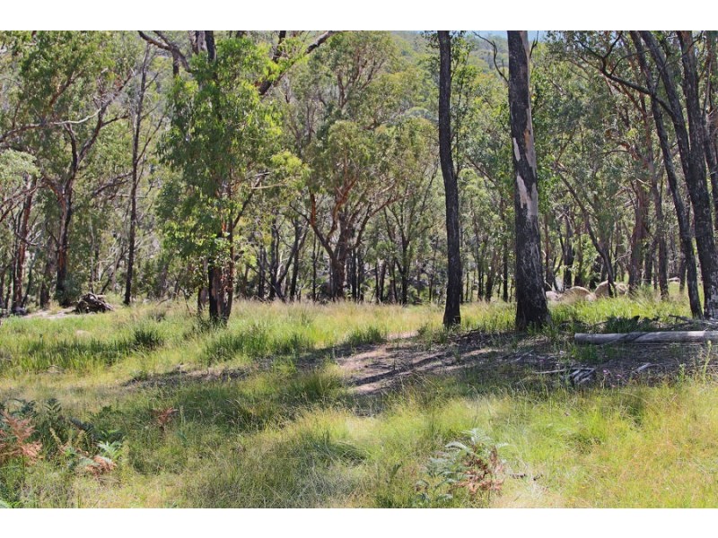1214 Mt McKenzie Road, Tenterfield NSW 2372