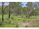 1214 Mt McKenzie Road, Tenterfield NSW 2372
