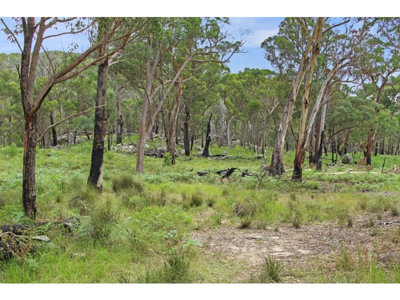 1214 Mt McKenzie Road, Tenterfield NSW 2372