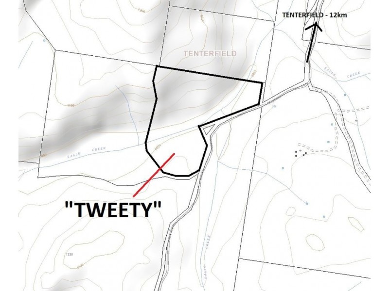 1214 Mt McKenzie Road, Tenterfield NSW 2372