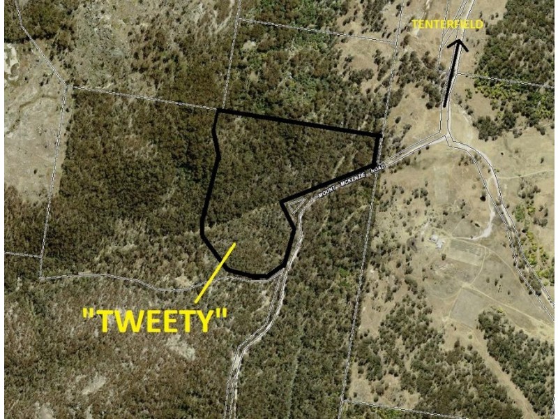 1214 Mt McKenzie Road, Tenterfield NSW 2372 Floorplan