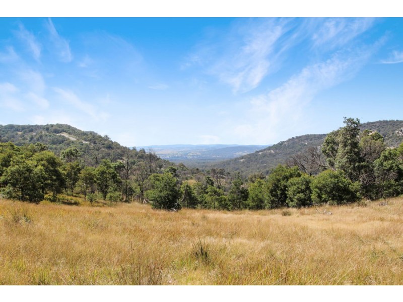 220 Kildare Road, Tenterfield NSW 2372