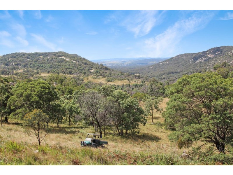 220 Kildare Road, Tenterfield NSW 2372