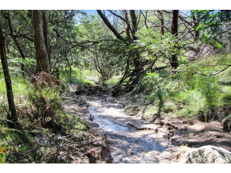 220 Kildare Road, Tenterfield NSW 2372