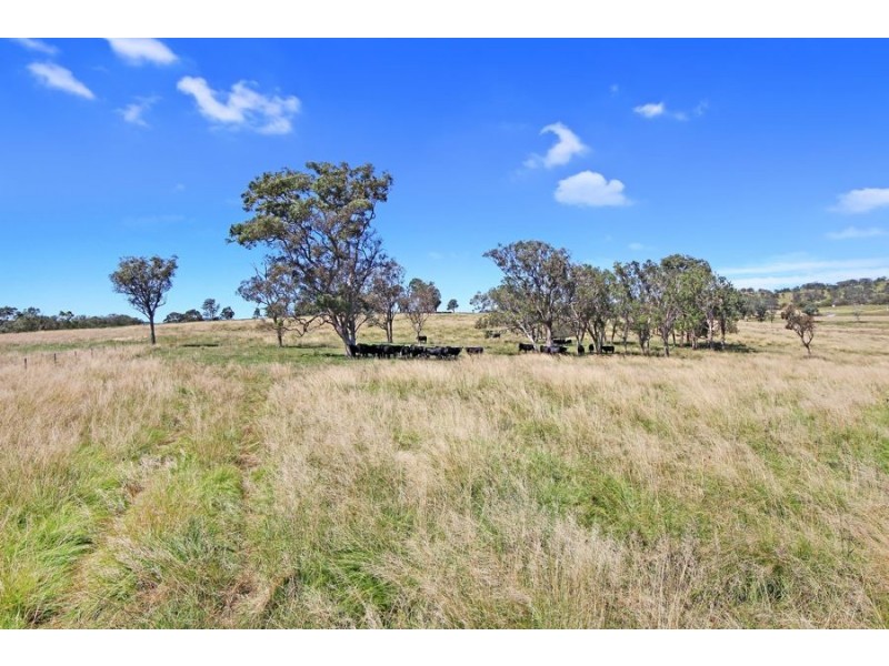47a Bryans Gap Road, Tenterfield NSW 2372