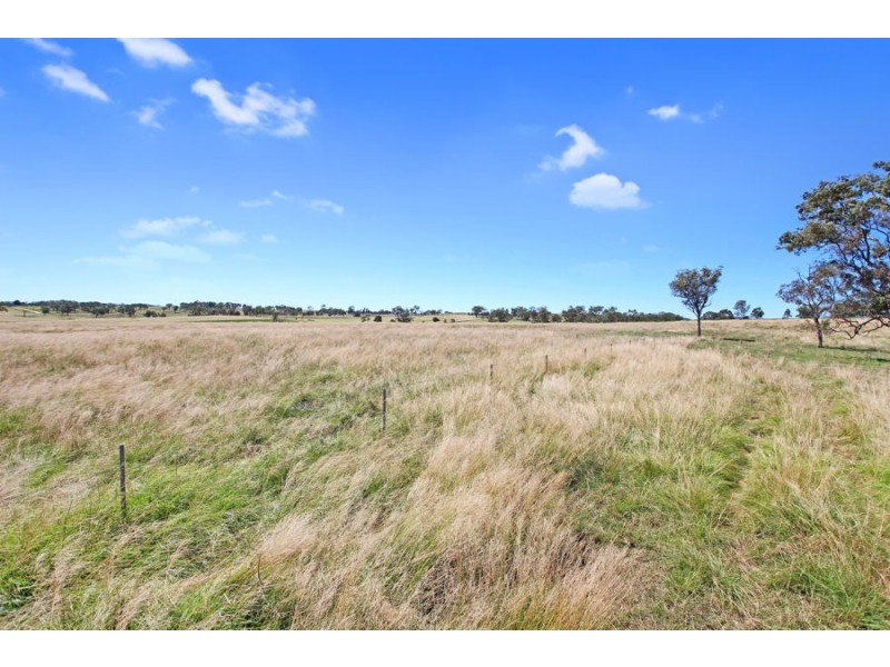 47a Bryans Gap Road, Tenterfield NSW 2372