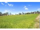 47a Bryans Gap Road, Tenterfield NSW 2372
