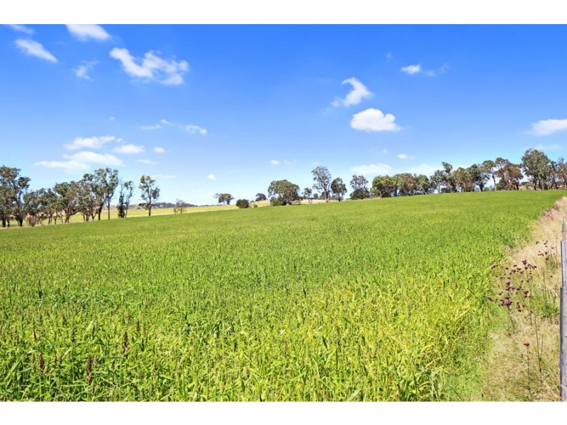 47a Bryans Gap Road, Tenterfield NSW 2372