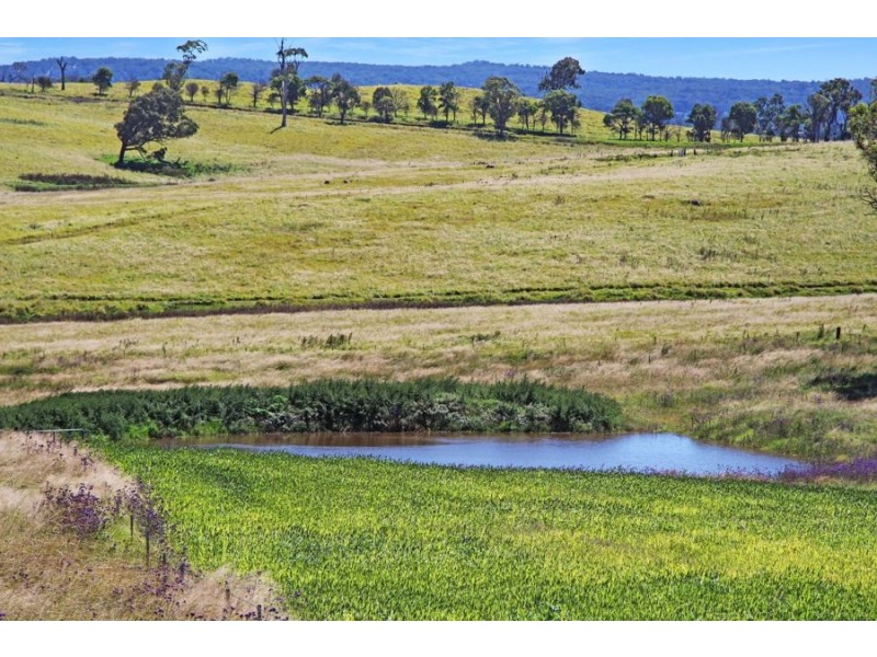 79 Bryans Gap Road, Tenterfield NSW 2372