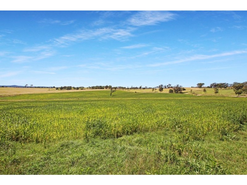 79 Bryans Gap Road, Tenterfield NSW 2372