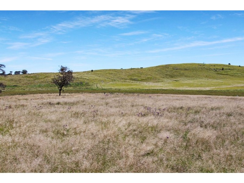 79 Bryans Gap Road, Tenterfield NSW 2372