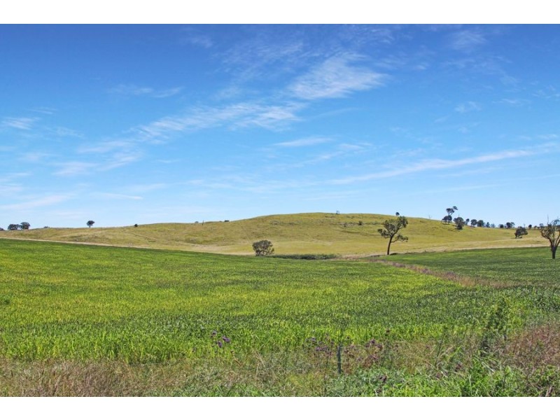 79 Bryans Gap Road, Tenterfield NSW 2372