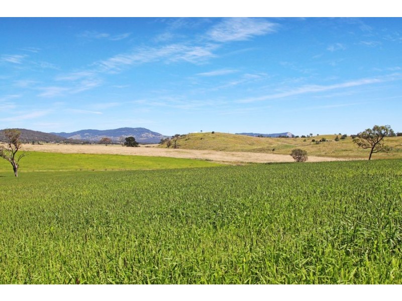 79 Bryans Gap Road, Tenterfield NSW 2372