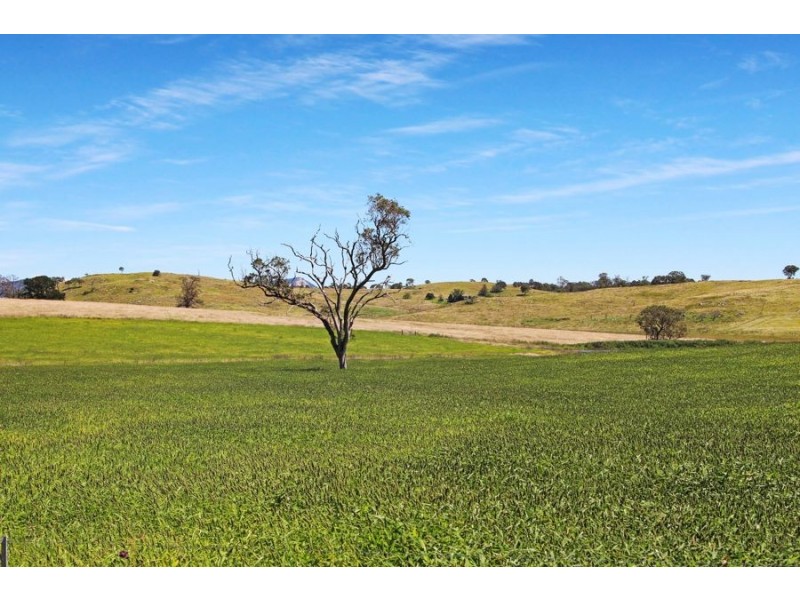 79 Bryans Gap Road, Tenterfield NSW 2372