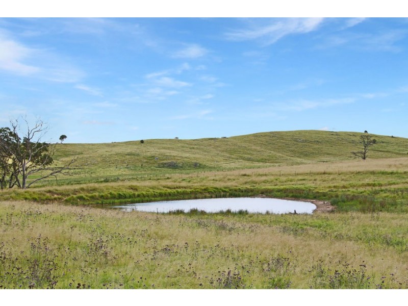 47 Bryans Gap Road, Tenterfield NSW 2372