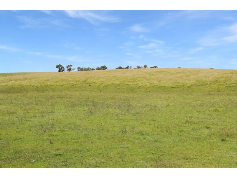 47 Bryans Gap Road, Tenterfield NSW 2372