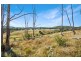 221 Gum Flat Road, Tenterfield NSW 2372