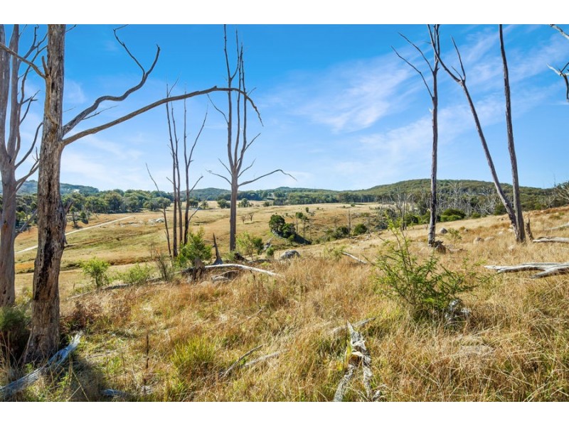 221 Gum Flat Road, Tenterfield NSW 2372