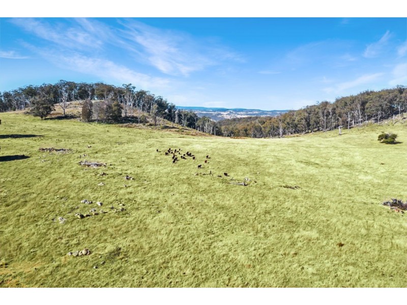 221 Gum Flat Road, Tenterfield NSW 2372