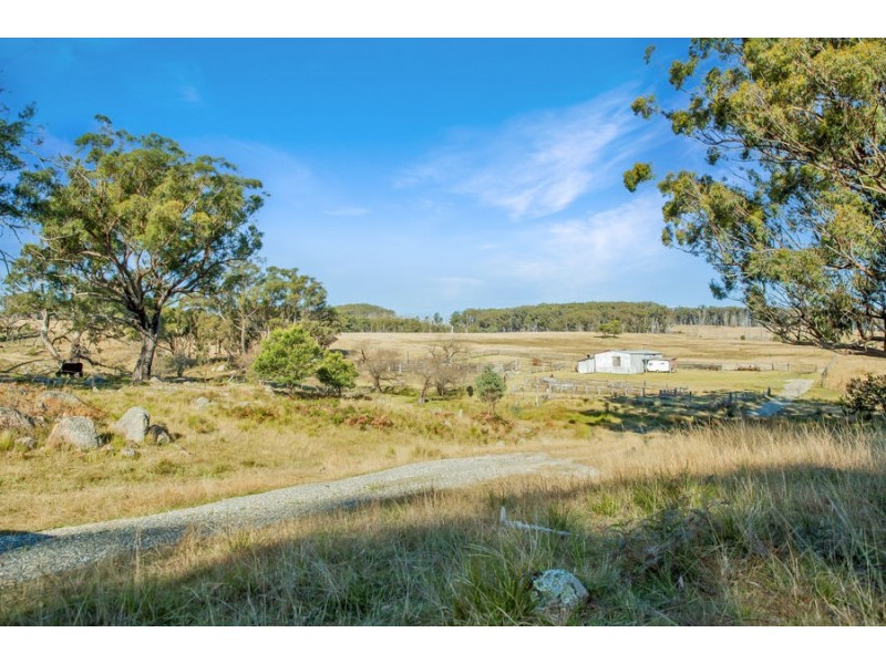 221 Gum Flat Road, Tenterfield NSW 2372